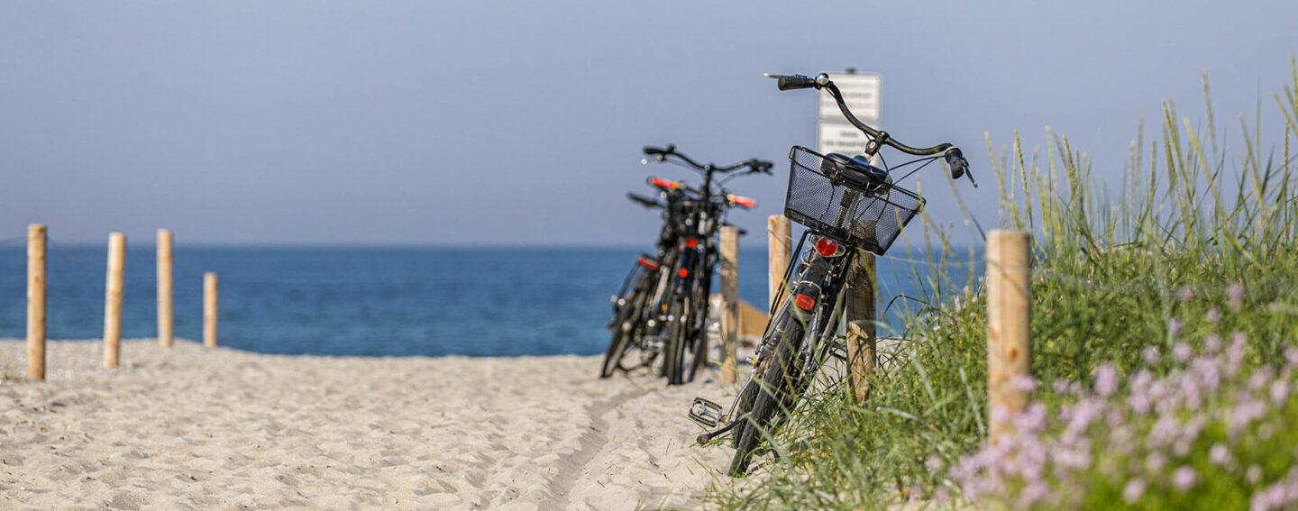 Planen Sie Ihre Reise für Ihren Urlaub auf dem Fischland Darß-Zingst im Ostseebad Wustrow